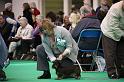 Crufts2011_2 1290